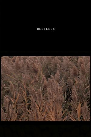 Restless's poster