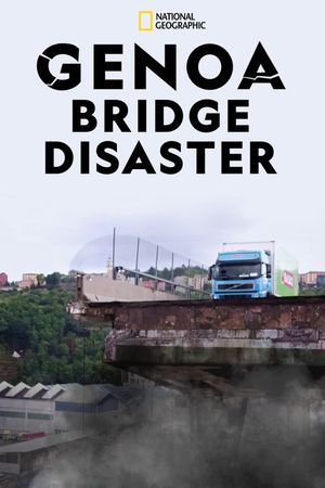 Why Bridges Collapse's poster image