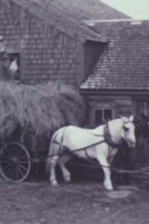 Windy Ledge Farm's poster