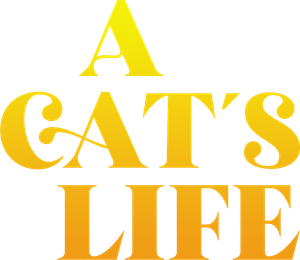 A Cat's Life's poster