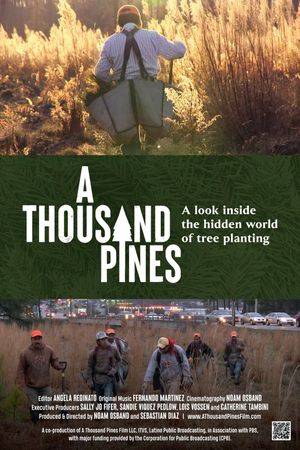 A Thousand Pines's poster image