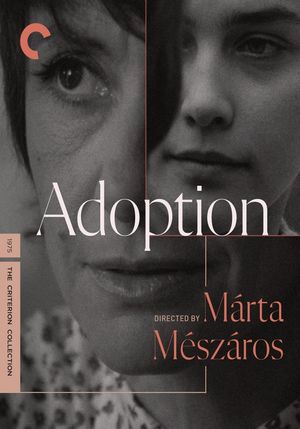Adoption's poster