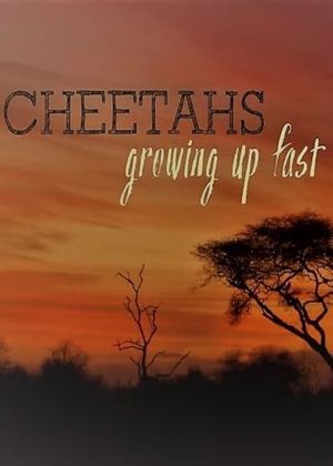 Cheetahs: Growing Up Fast's poster