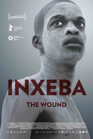 The Wound's poster