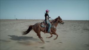 Rodeo Girls's poster