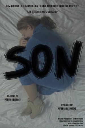 The Son's poster
