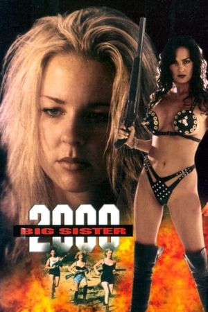 Big Sister 2000's poster