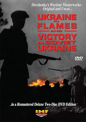 Ukraine in Flames's poster