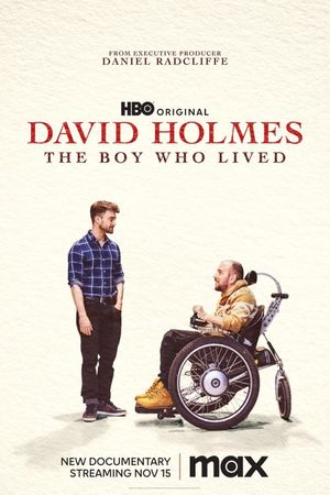 David Holmes: The Boy Who Lived's poster