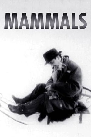 Mammals's poster