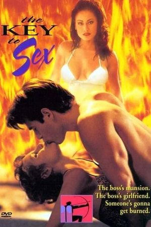 The Key to Sex's poster