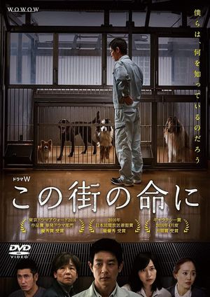Through Their Eyes's poster
