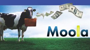 Moola's poster