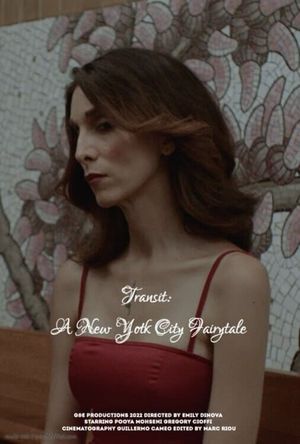 Transit: A New York City Fairytale's poster