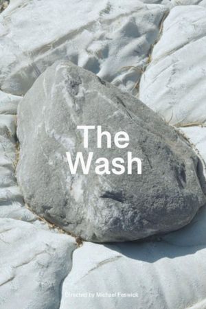 The Wash's poster