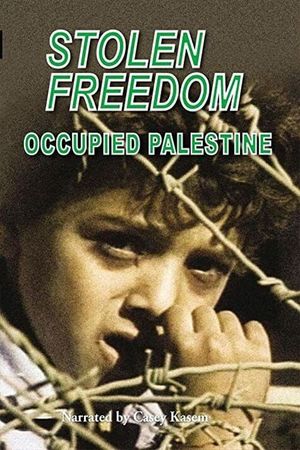 Stolen Freedom: Occupied Palestine's poster