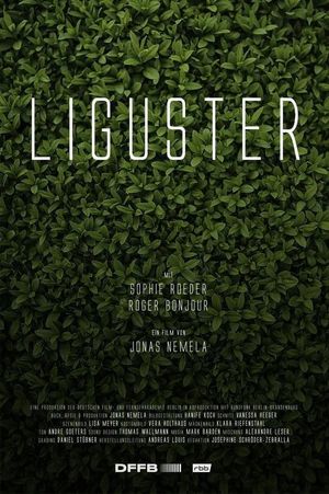 Liguster's poster