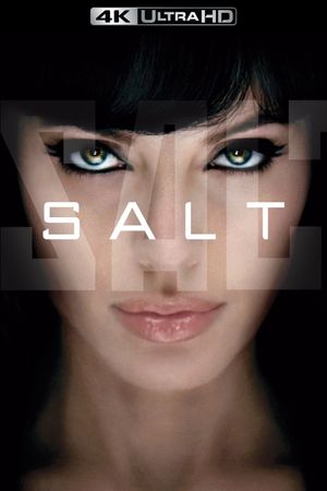 Salt's poster