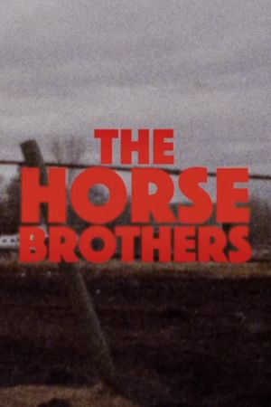 Horse Brothers's poster image