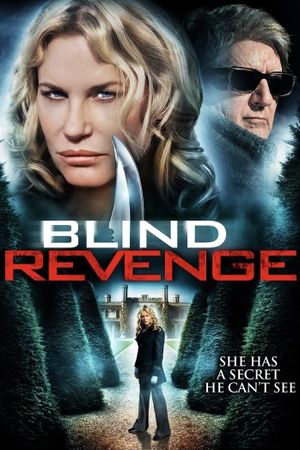 Blind Revenge's poster