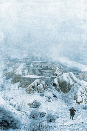 Winter Sleep's poster