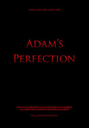 Adam's Perfection's poster