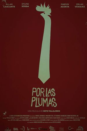 All About the Feathers's poster