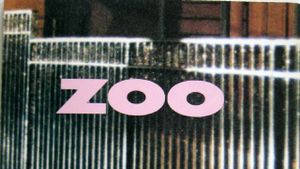 Zoo's poster