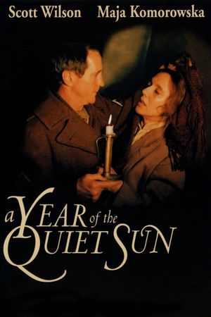 A Year of the Quiet Sun's poster image