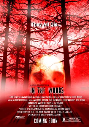 In the Woods's poster