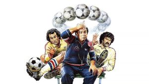 L'allenatore nel pallone's poster