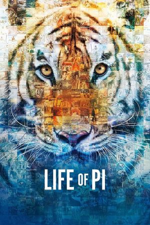 Life of Pi's poster