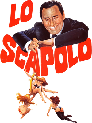 The Bachelor's poster