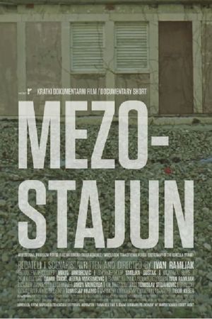 Mezostajun's poster image