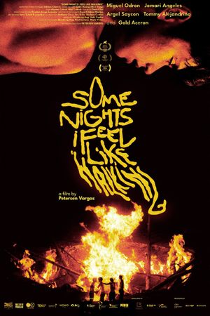 Some Nights I Feel Like Walking's poster