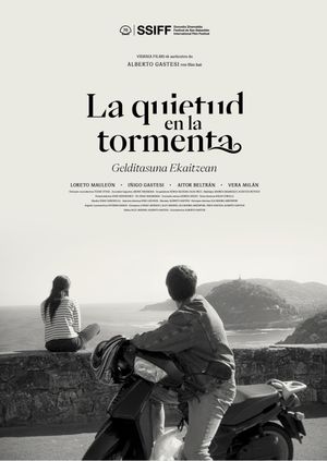 Gelditasuna ekaitzean's poster