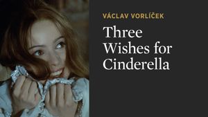 Three Wishes for Cinderella's poster