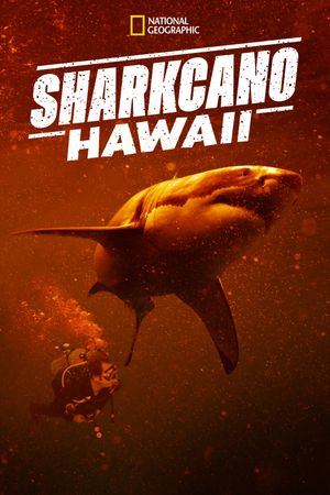 Sharkcano: Hawaii's poster