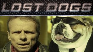 Lost Dogs's poster