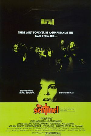 The Sentinel's poster