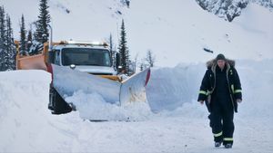 Cold Pursuit's poster