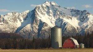 Alaska Far Away: The New Deal Pioneers of the Matanuska Colony's poster