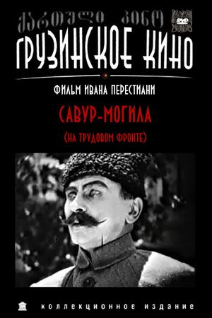 Savur-Mogila's poster