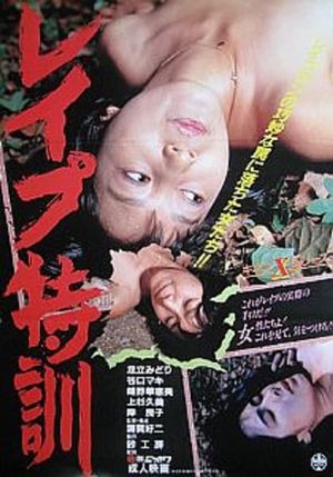 Rape tokkun's poster image