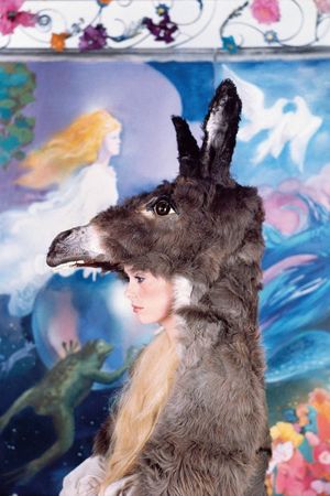 Donkey Skin's poster