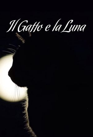 Il gatto e la luna's poster