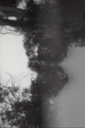 Attention, Focus, and Motion's poster image