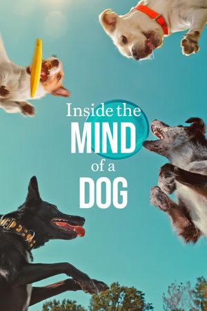 Inside the Mind of a Dog's poster