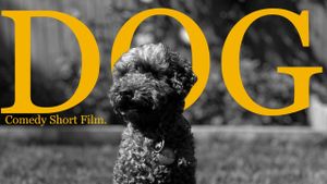 Dog (The Mockumentary)'s poster