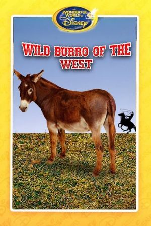 Wild Burro of the West's poster